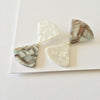 Coco Earrings: White, Shell Tort