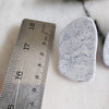 Clay Classics Earrings